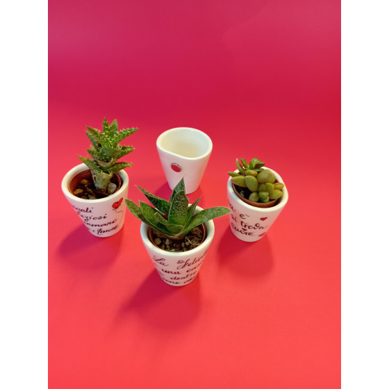 Vasetti con calamita